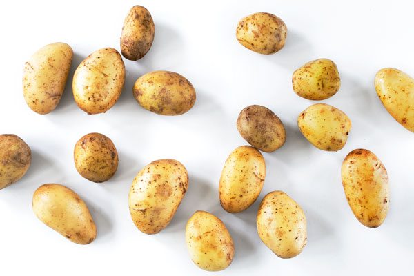 New "baby" potatoes on a white background. Shot from above.