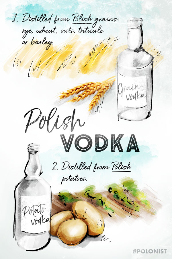 Illustration / Infographic showing Polish vodka distilled from grain (wheat, rye) or potatoes. Drawn by Kasia Kronenberger