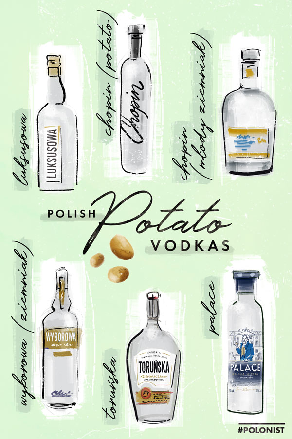 Hand drawn illustration / infographic depicting Polish potato vodkas: Luyksusowa, Chopin Potato, Chopin Młody Ziemniak, Wyborowa Ziemniak, Toruńska, Palace. Illustrated by Kasia Kronenberger.