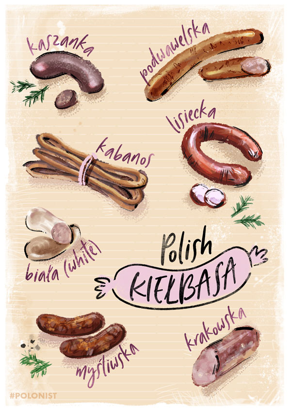Polish kielbasa sausage types - illustrated infographic drawn by Kasia Kronenberger