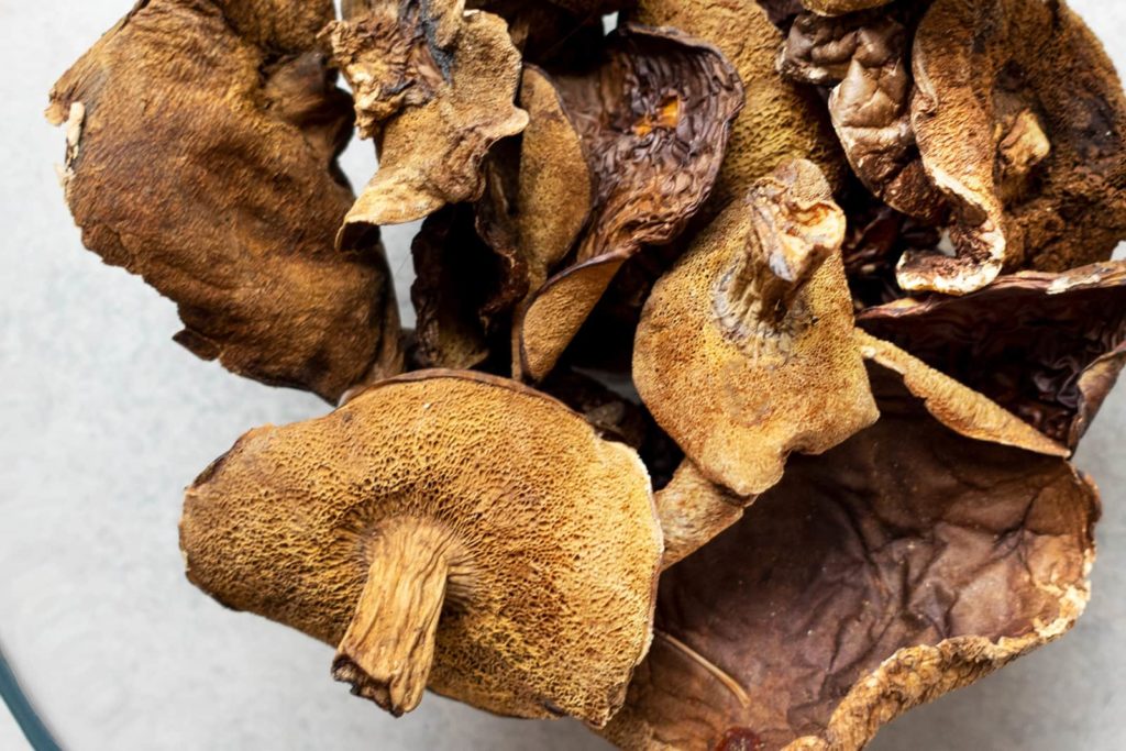 Dried bay boletus (wild mushrooms)