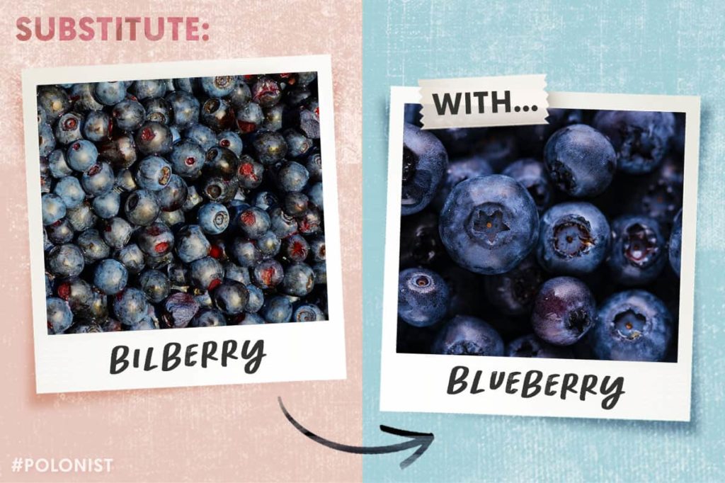 Bilberry substitute: Blueberry