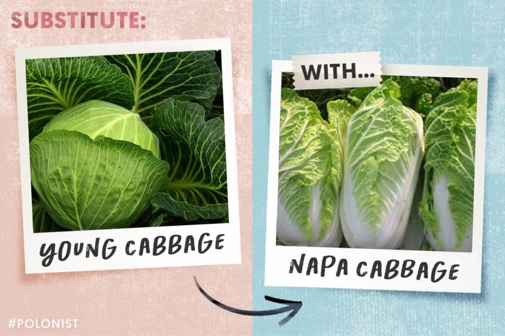 Young Cabbage substitute: napa cabbage