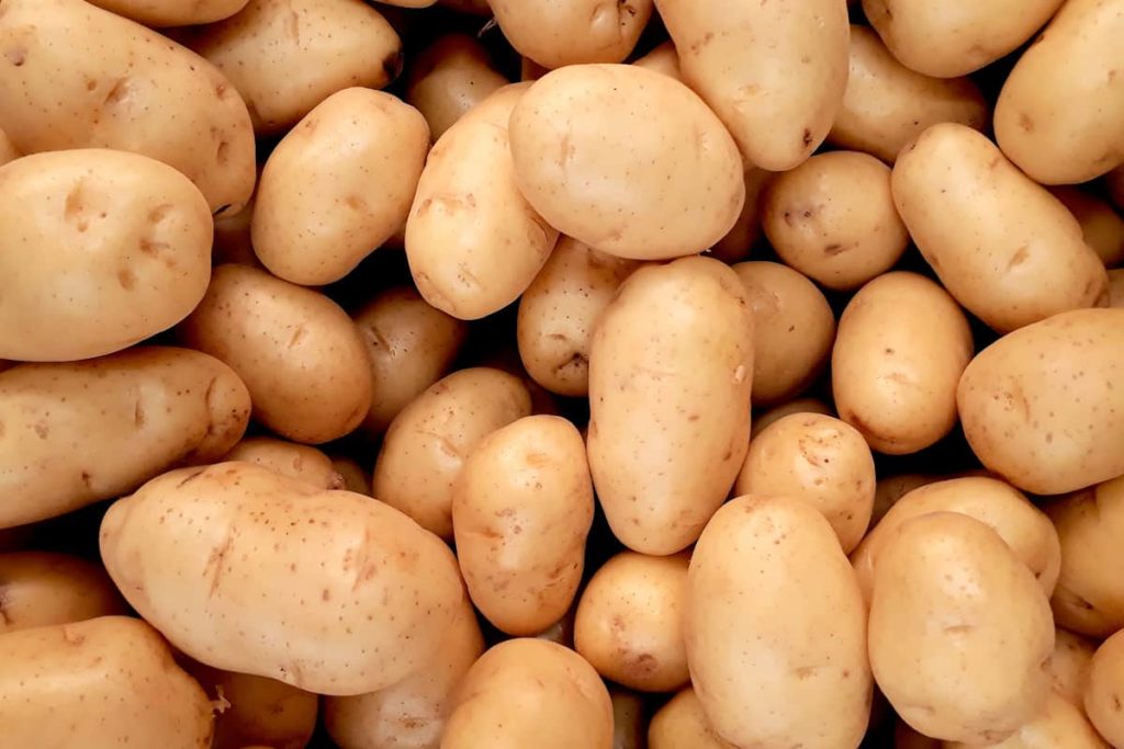 starchy potatoes