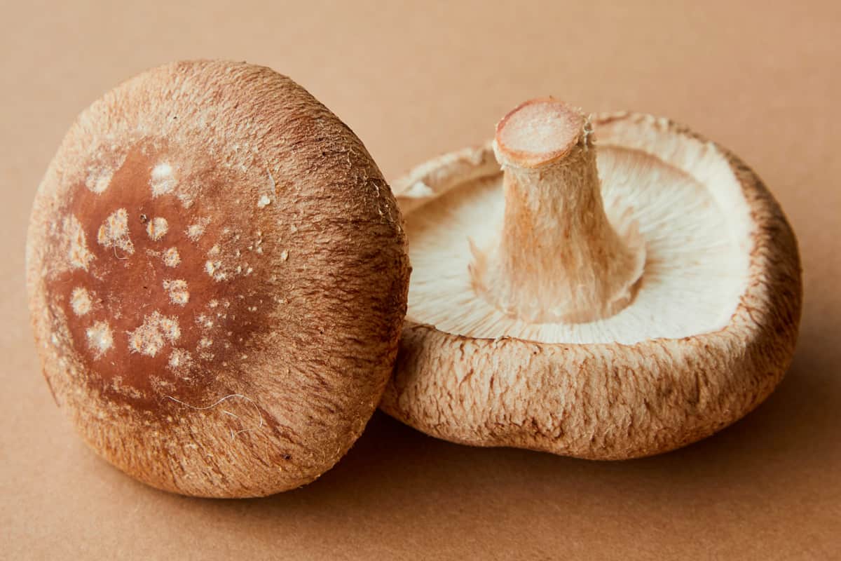 Brown button mushrooms