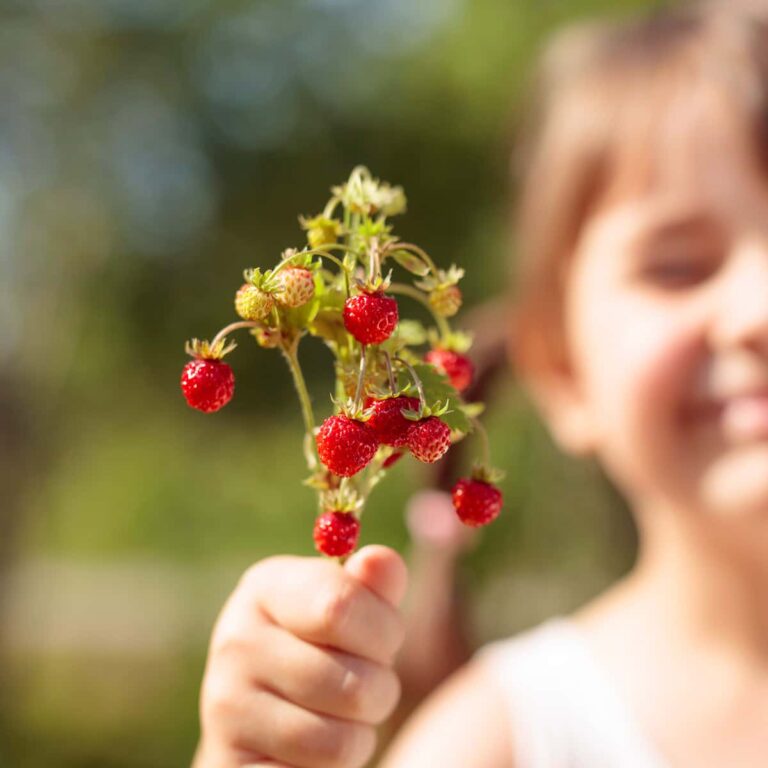 Girl holding wild berries